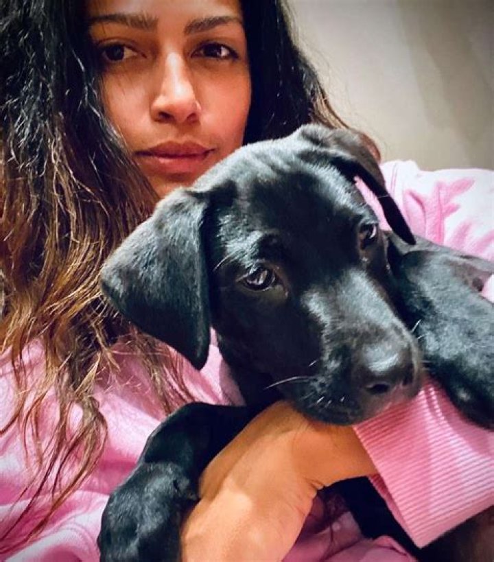 Camila Alves Pets