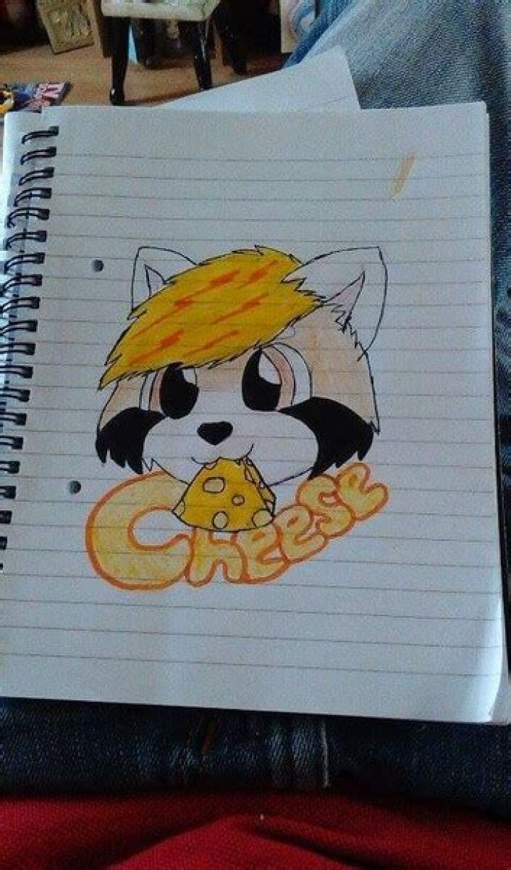 chester_the_fox