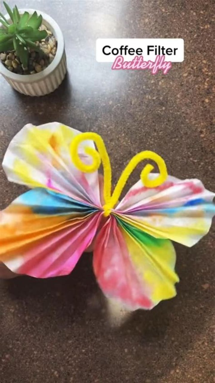 Coffee Filter Butterfly Craft and Science Experiment Coffee Filter Butterfly Craft and Science Experiment