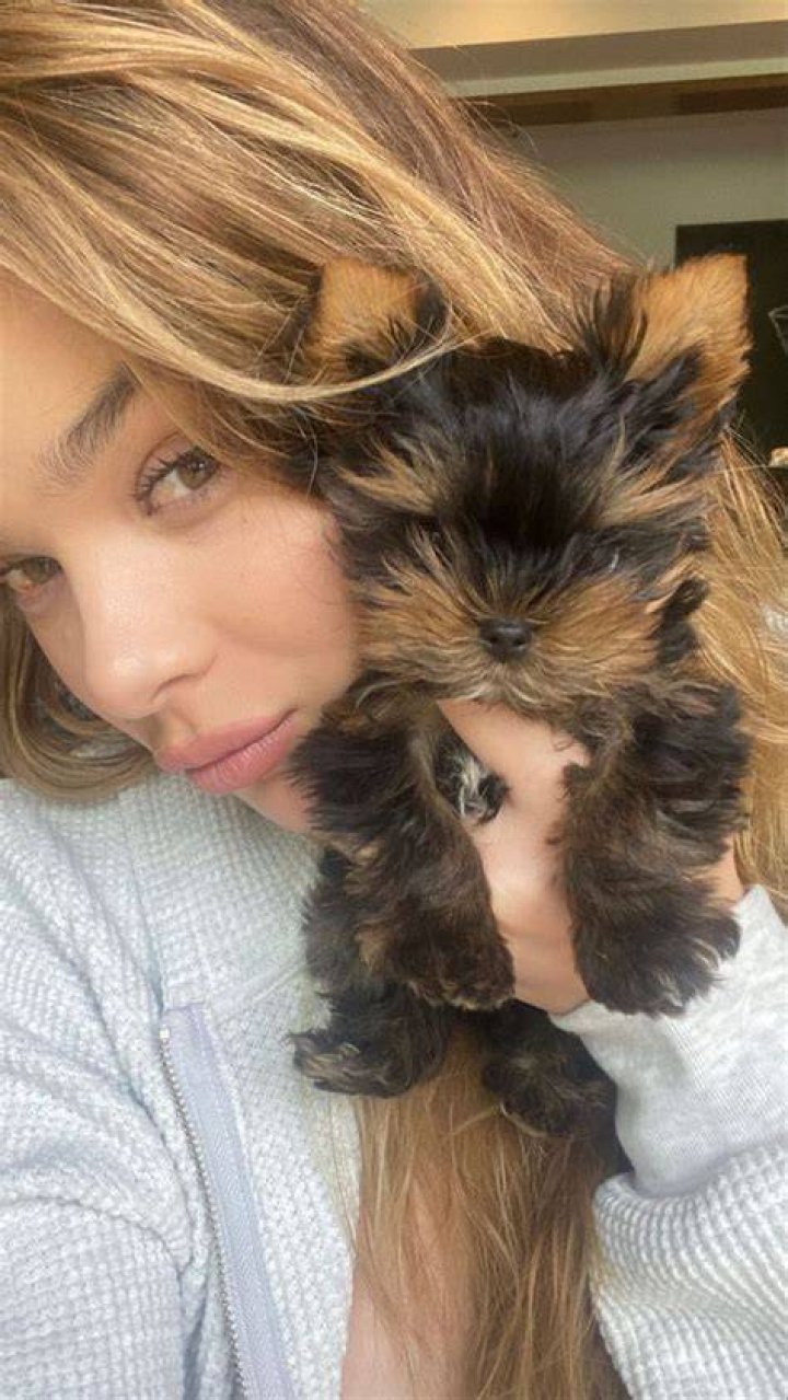Hailee Steinfeld Pets