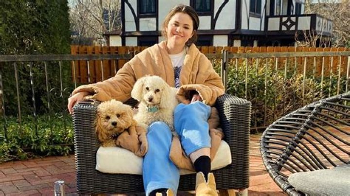 Julia Kostera Pets - Celebrity Pets
