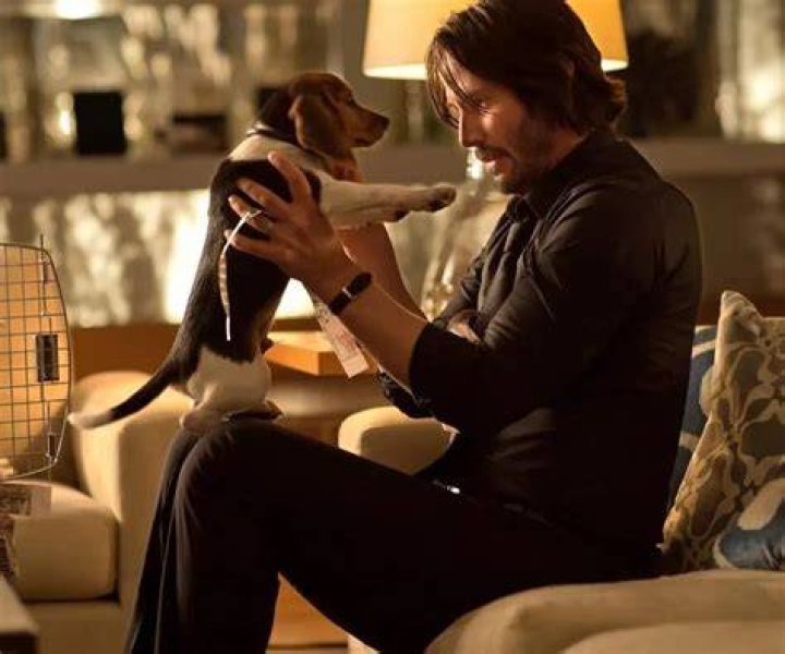 Keanu Reeves Pets - Celebrity Pets
