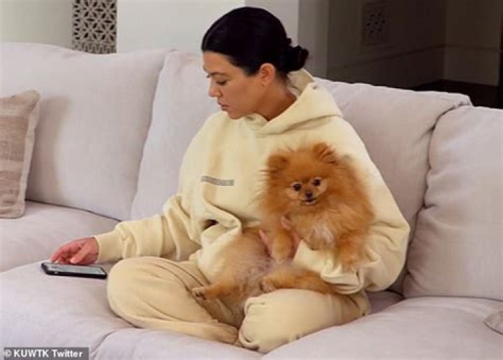 Kourtney Kardashian Pets