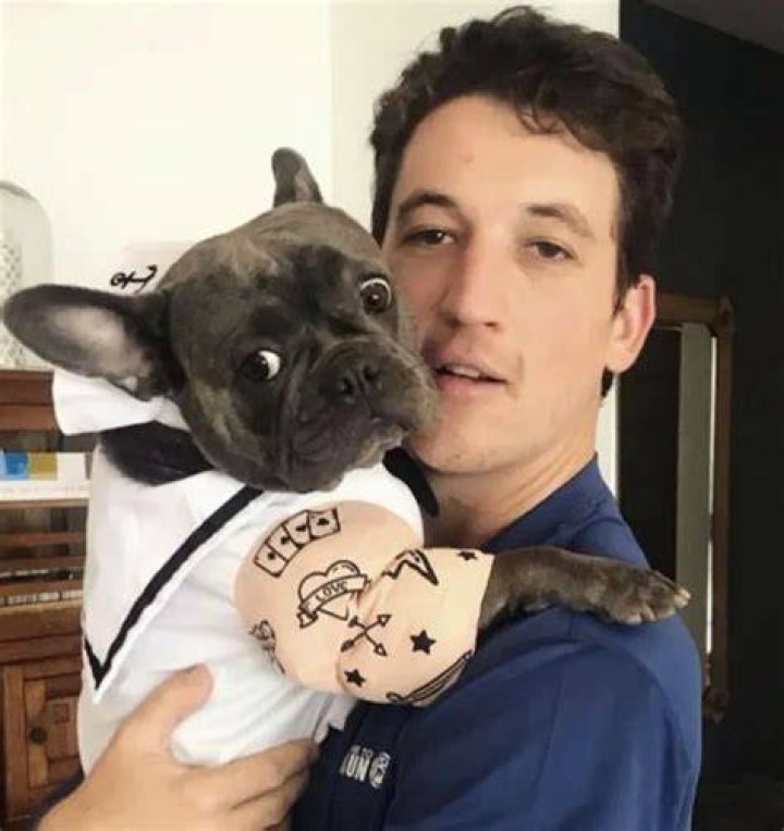 Miles Teller Pets - Celebrity Pets