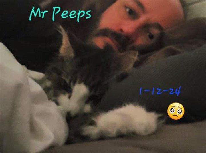 Mr. Peeps Twitter