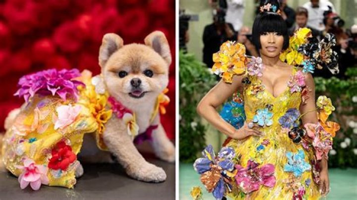 Nicki Minaj Pets