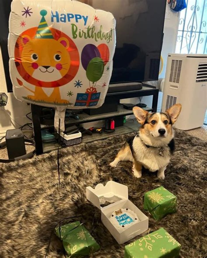 Ronald Gladden Pets - Celebrity Pets