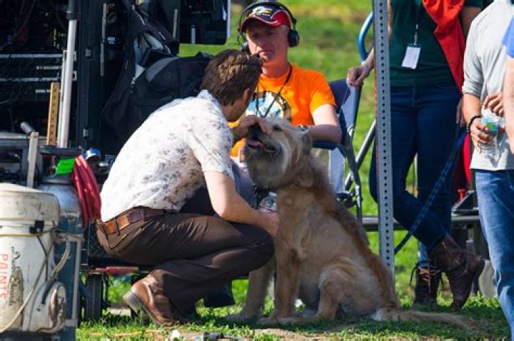 Ryan Gosling Pets