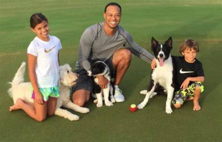 Tiger Woods Pets
