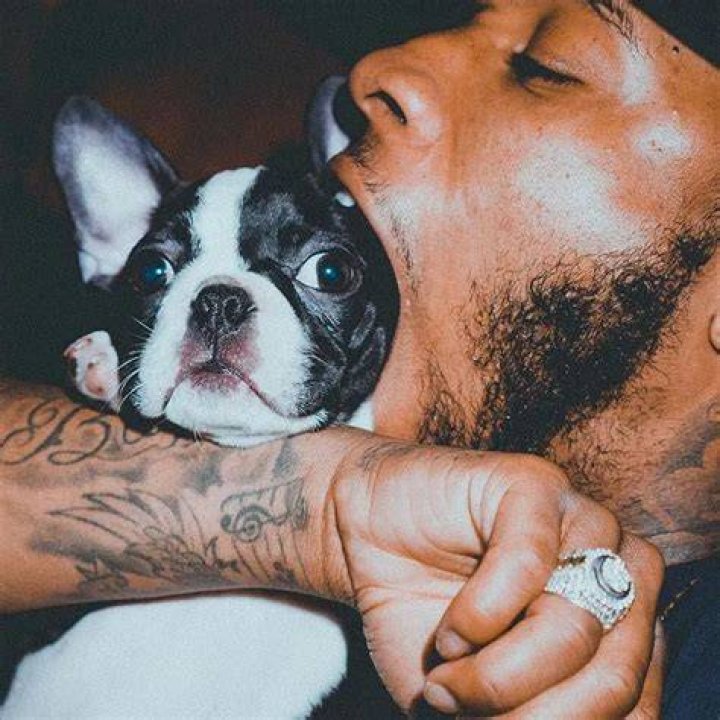 Tory Lanez Pets