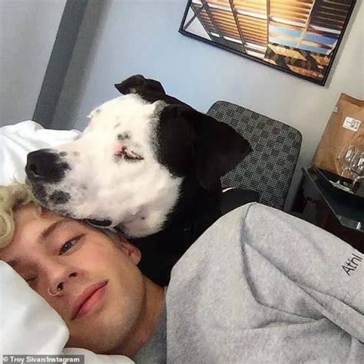 Troye Sivan Pets - Celebrity Pets